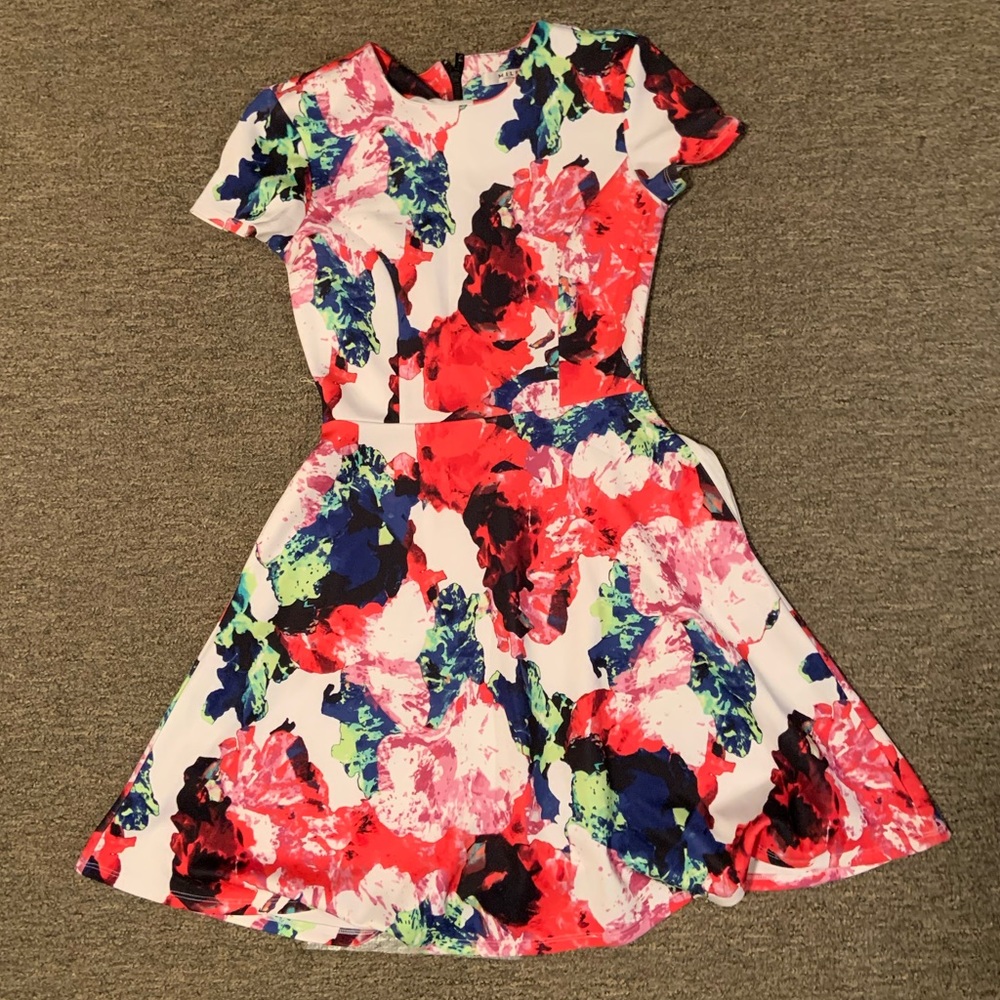 Milly for Design Nation Fit and Flare Floral Dress